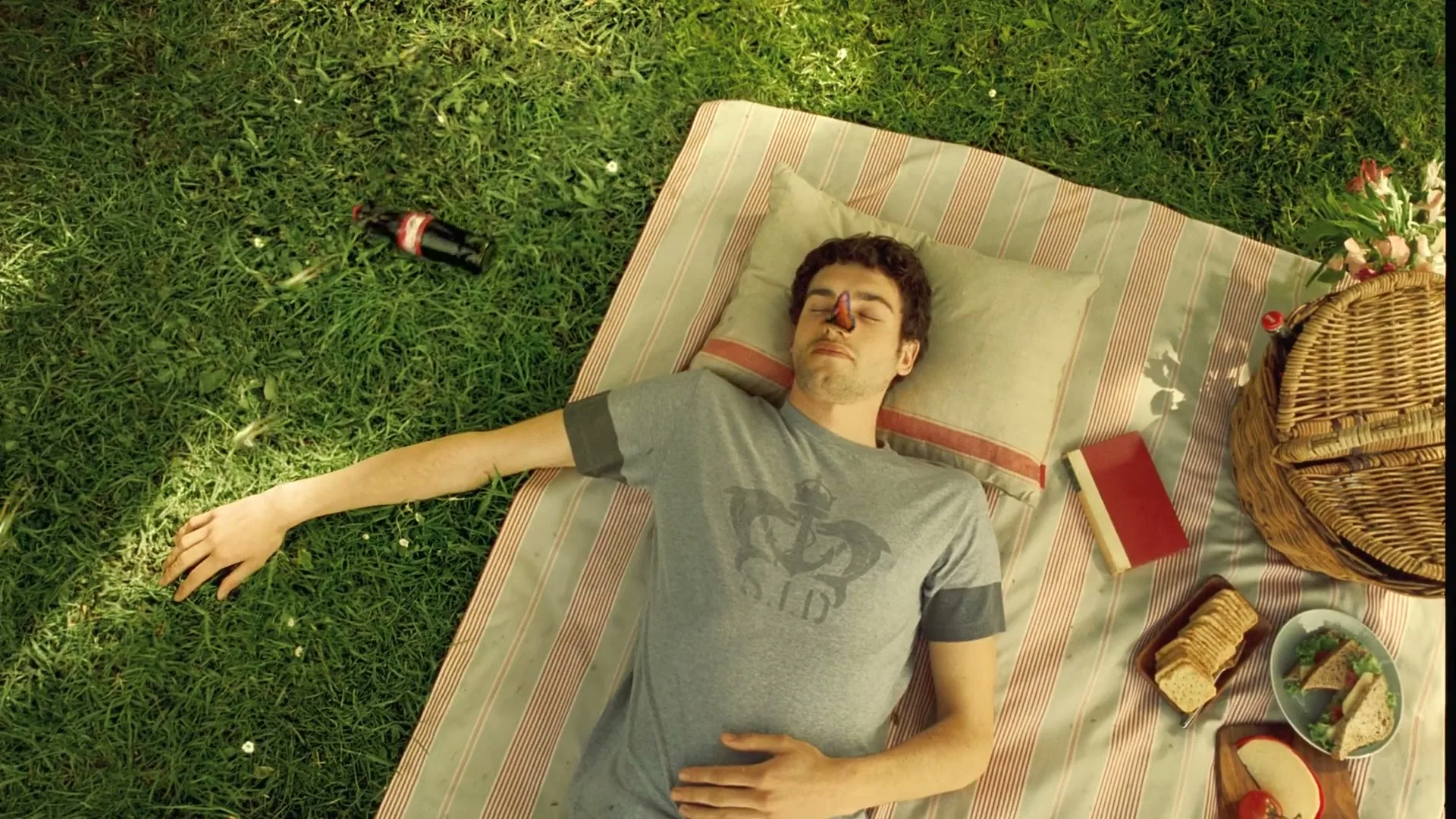 A young man in a grey t-shirt is sleeping on a picnic blanket in a park, with a butterfly landing on his nose.