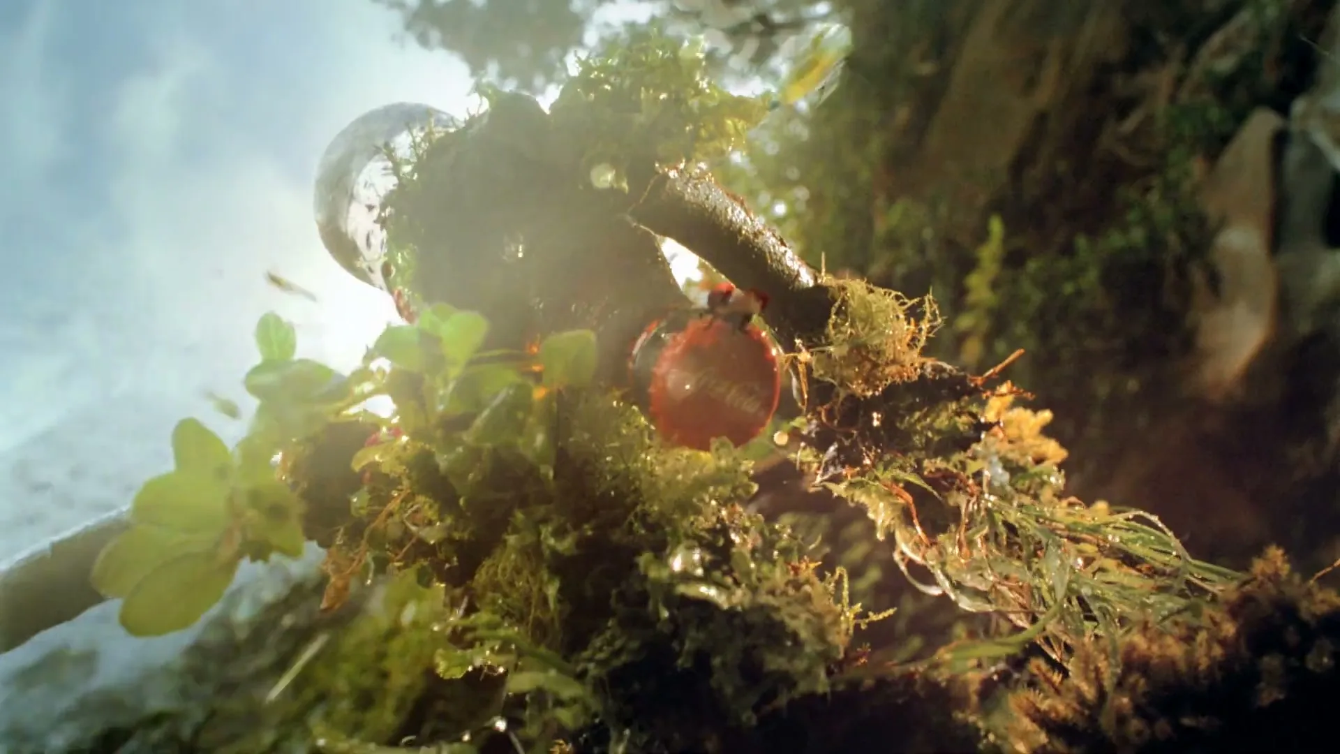 A close-up shot of a Coca-Cola bottle cap, covered in moss and water droplets, as it is carried by an ant-like creature through a lush, green environment.