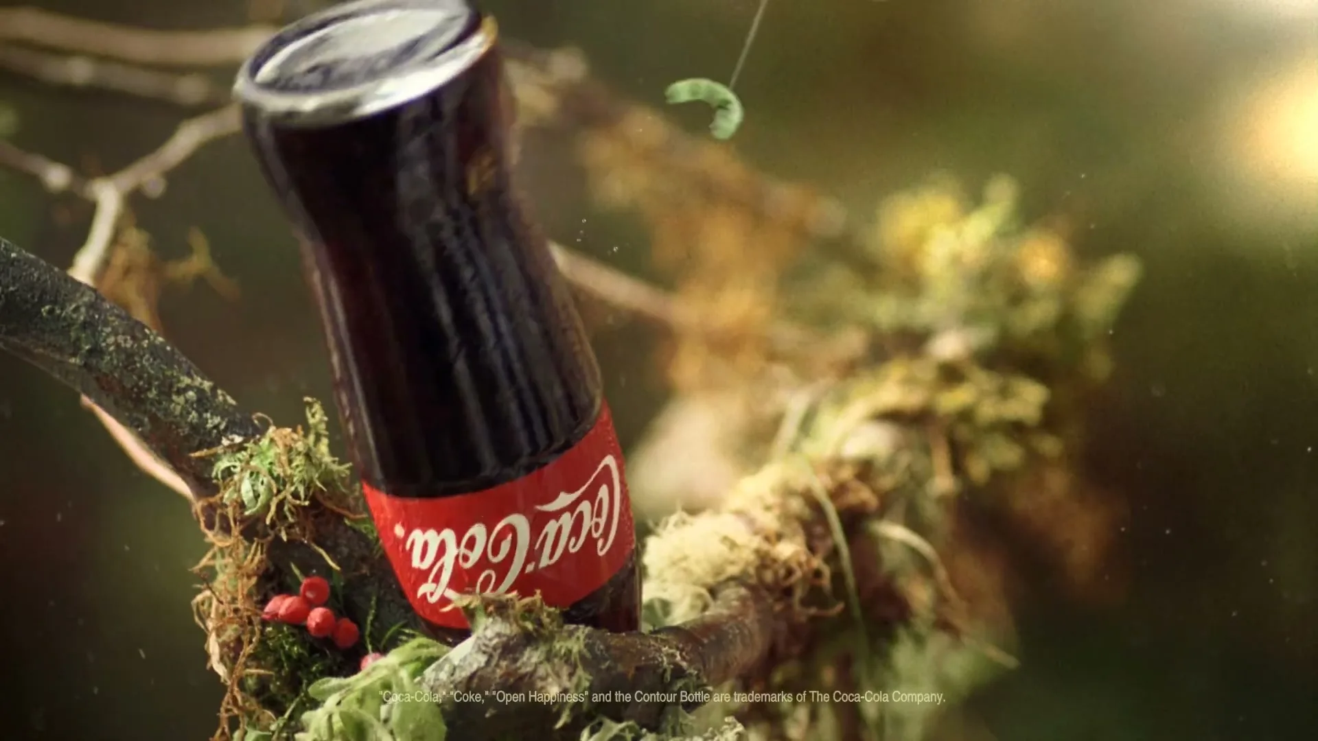A small Coca-Cola bottle is seen hanging from a mossy branch, as a green caterpillar descends on a silk thread in a lush, sunlit forest.