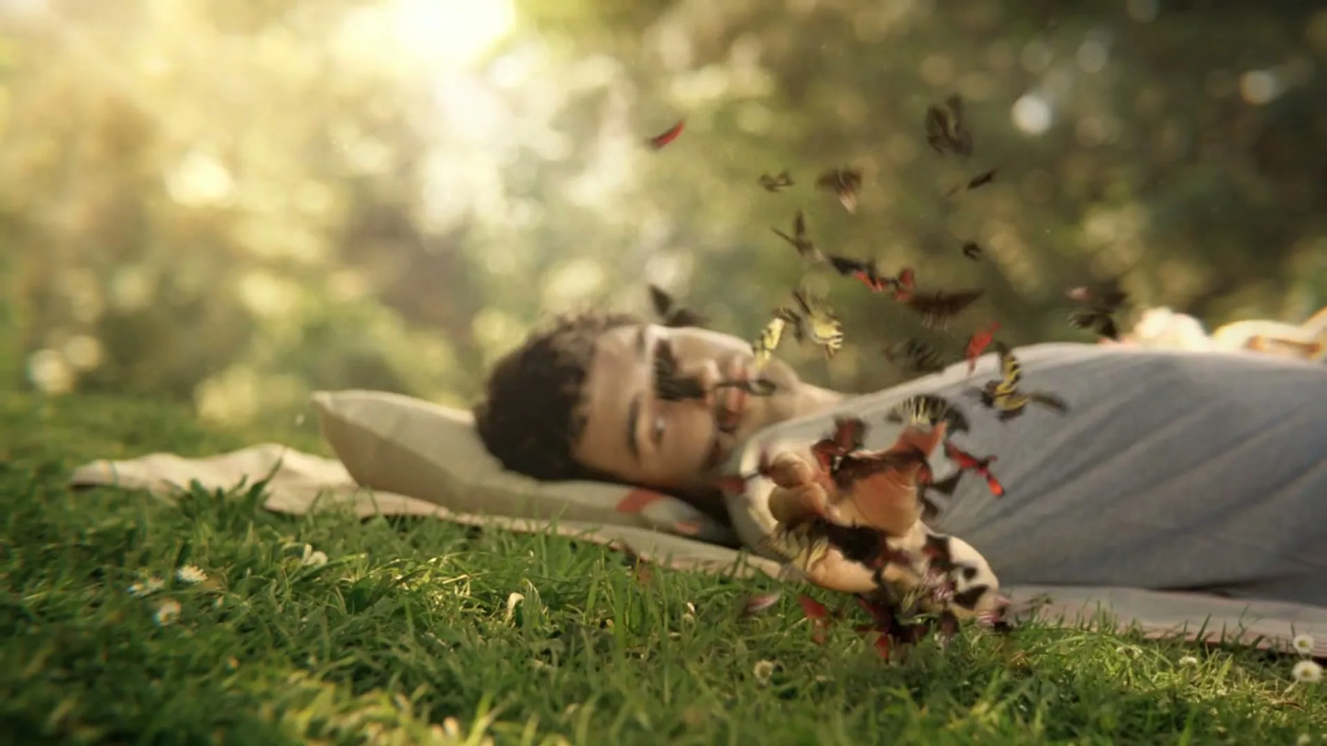 A young man lies on a blanket in a sunny park, watching a Coca-Cola bottle made of butterflies disintegrate and fly away.