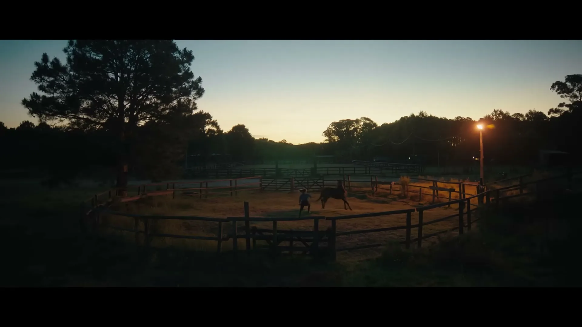 A person in a dark shirt and jeans trains a horse in a round pen at dusk, illuminated by a single light post.