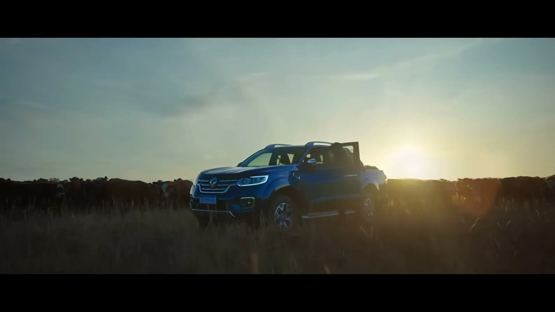 A man stands next to a blue Renault pickup truck in a field with cattle, silhouetted against a golden sunset.