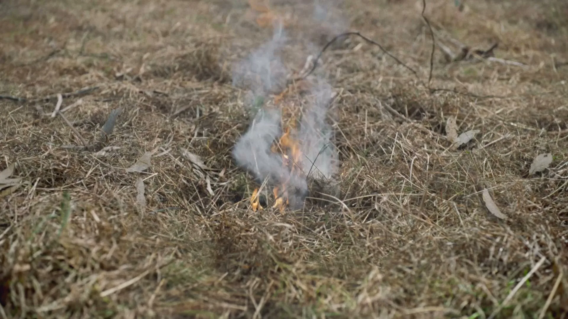 A small fire ignites in dry grass, then a small amount of water is sprayed on it, extinguishing the flames in a field.