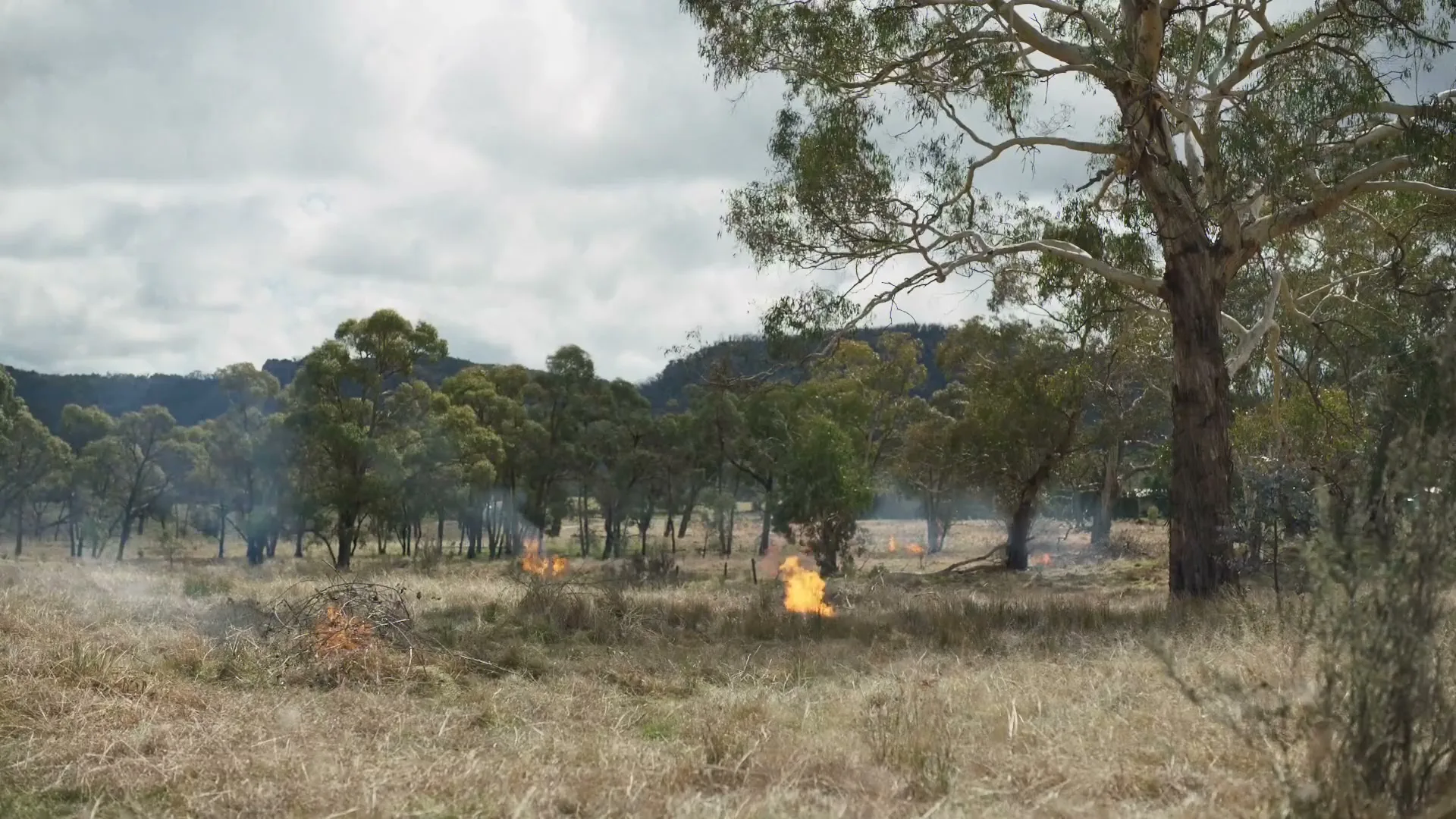 A wide shot of a dry, grassy field with several small fires burning, surrounded by trees under a cloudy sky.