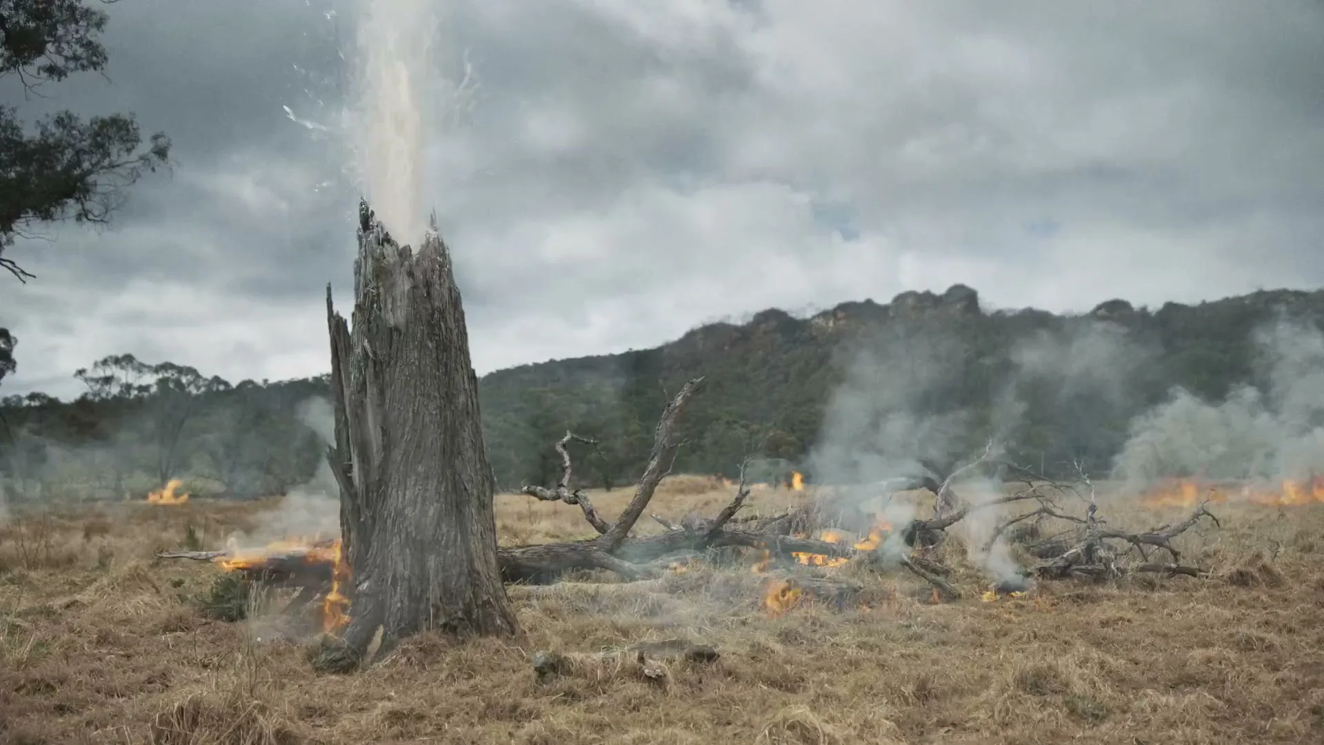 A wide shot shows a dry, grassy field with a large tree stump in the foreground, surrounded by small fires and smoke under a cloudy sky.