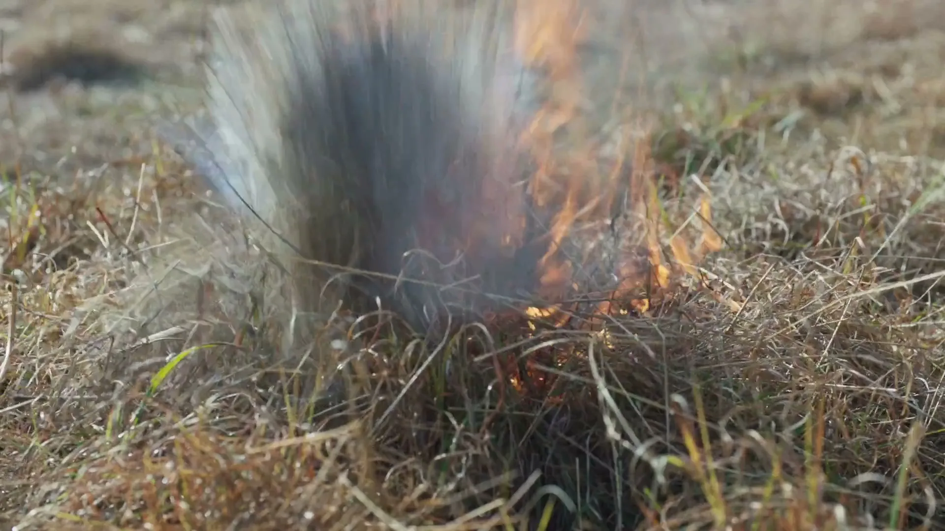Flames burn in dry grass, then a burst of water extinguishes the fire in a field on a sunny day.