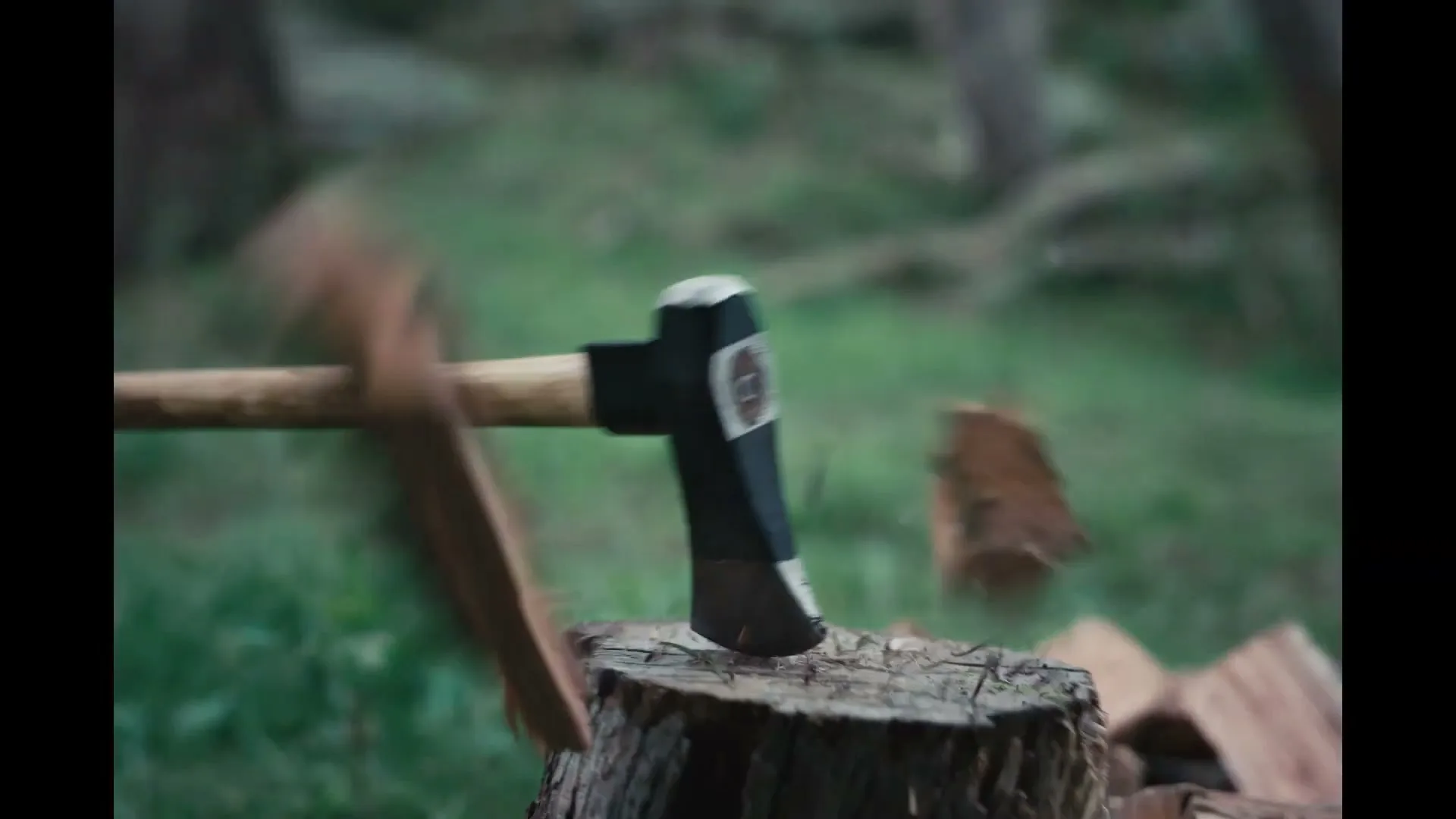 An axe chops a piece of wood on a tree stump in a forest, with wood chips flying around.