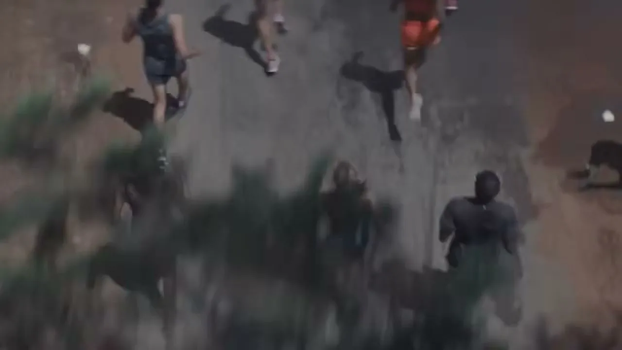 An overhead shot shows a diverse group of people running on a paved path, surrounded by blurred green foliage, under natural daylight.