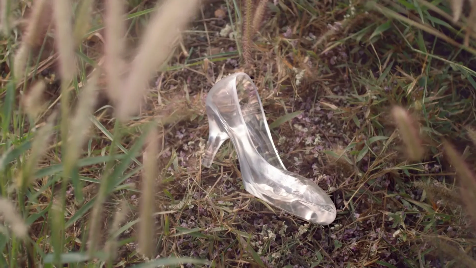 A clear glass slipper lies on the ground amidst green grass and dried leaves, evoking a fairytale aesthetic in an outdoor setting.