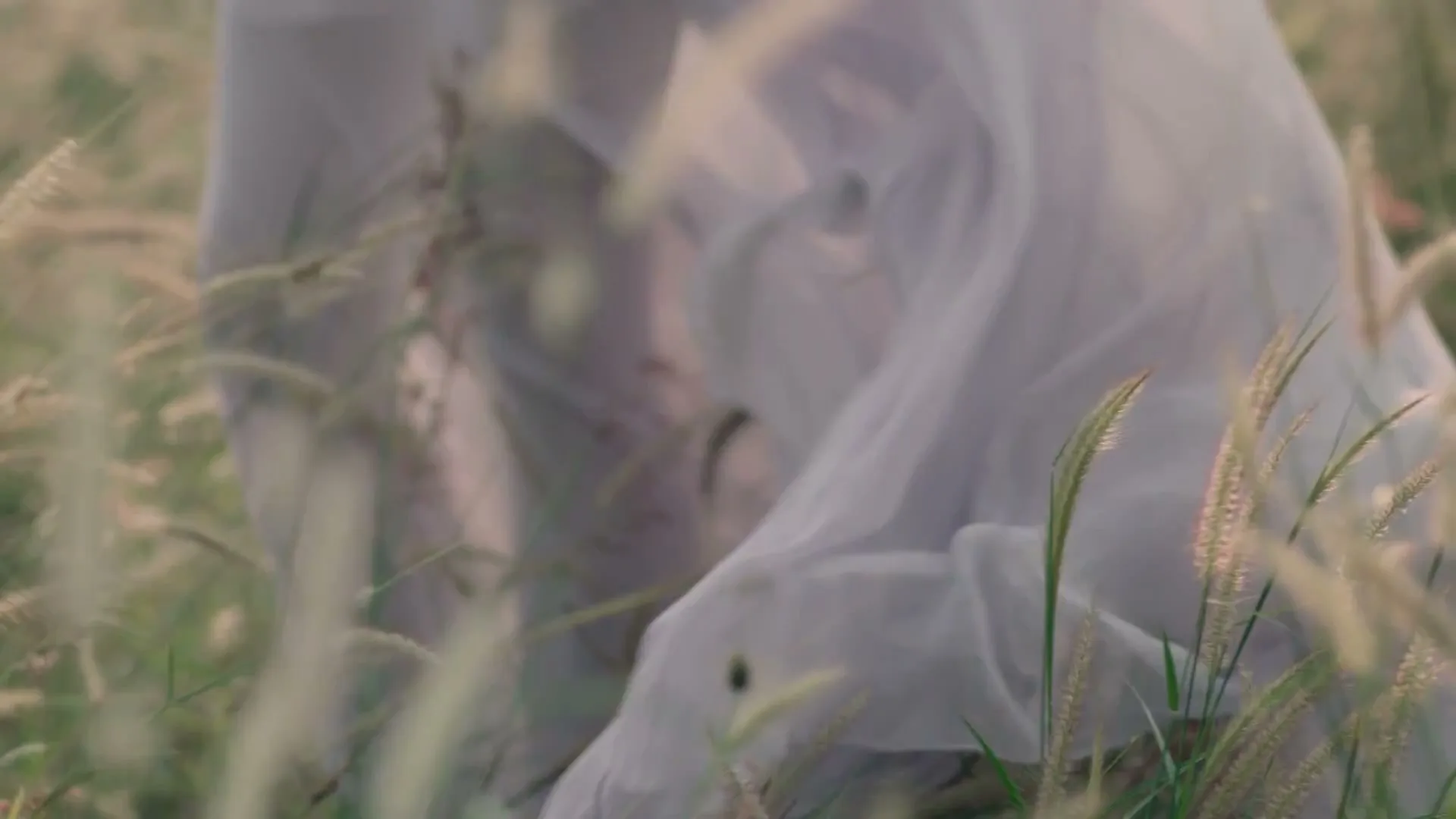A woman in a white dress is partially obscured by tall grass, as she moves through a field during the day.