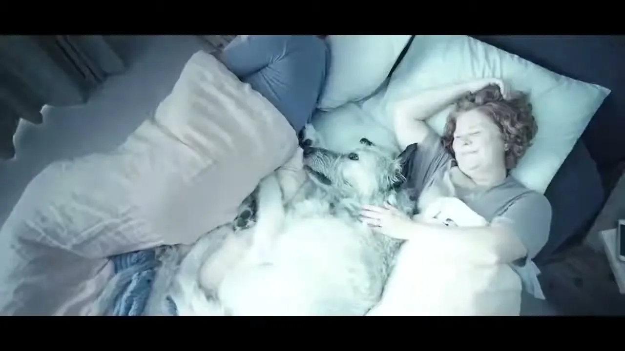 Pedigree “Scared”