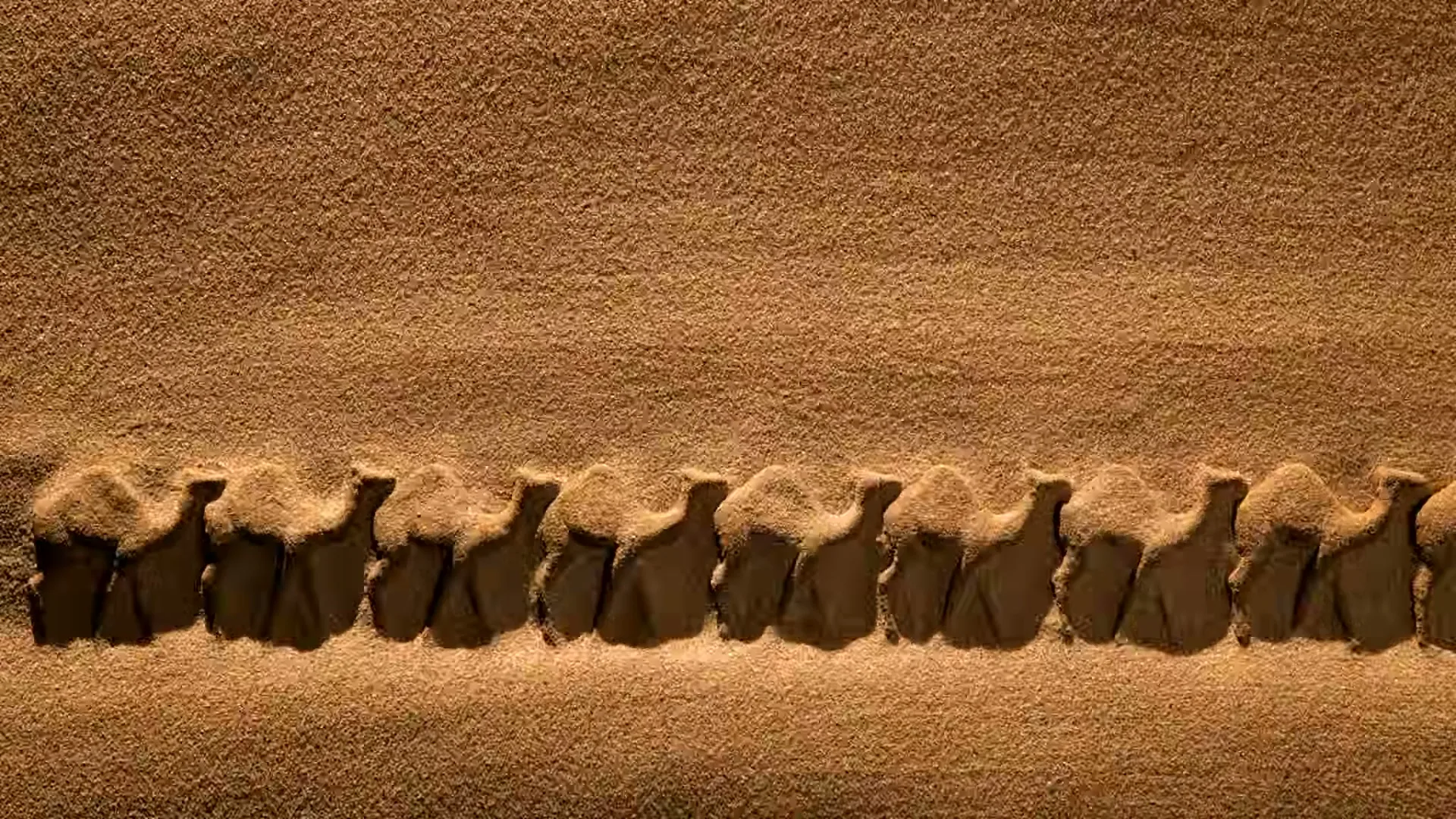 An aerial shot shows a line of camel-shaped sand dunes in a desert, with sunlight casting shadows.