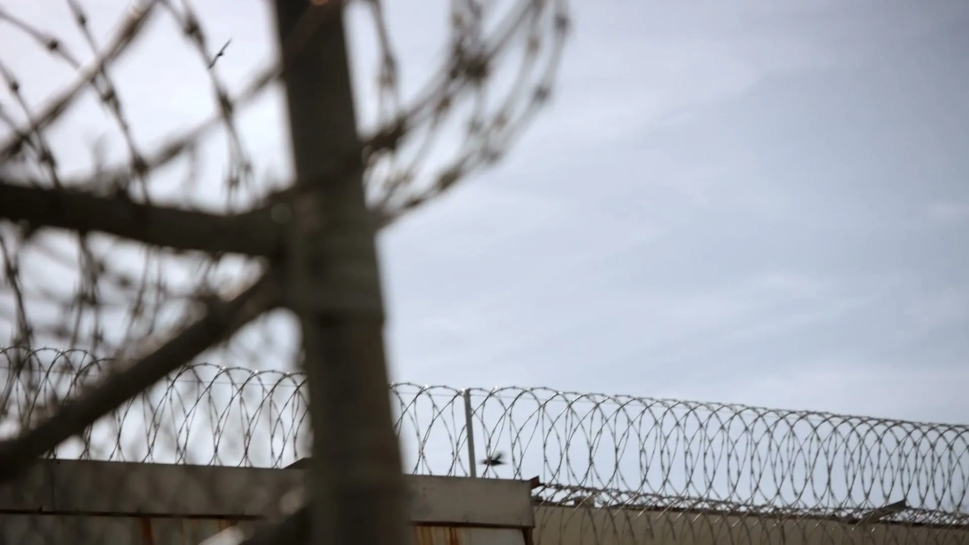 A close-up shot of a barbed wire fence with a blurry background of more barbed wire and a bird flying in the sky.