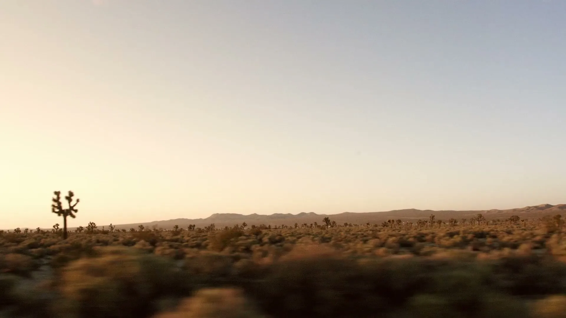 A wide shot from a moving vehicle shows a vast desert landscape with Joshua trees and distant mountains under a clear sky at golden hour.