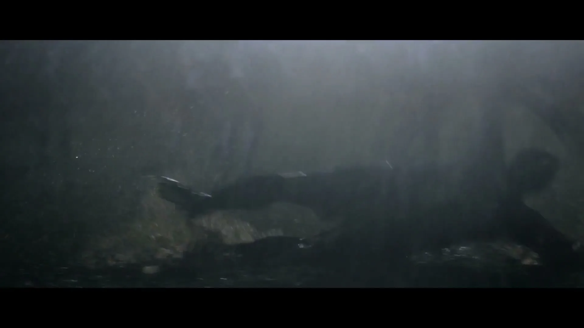 Rebel Sport Nz “Ode to Winter” (2014), frame 5