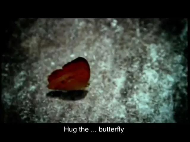 A small, vibrant orange butterfly with black markings rests on a textured, dark grey surface, with white English subtitles below.