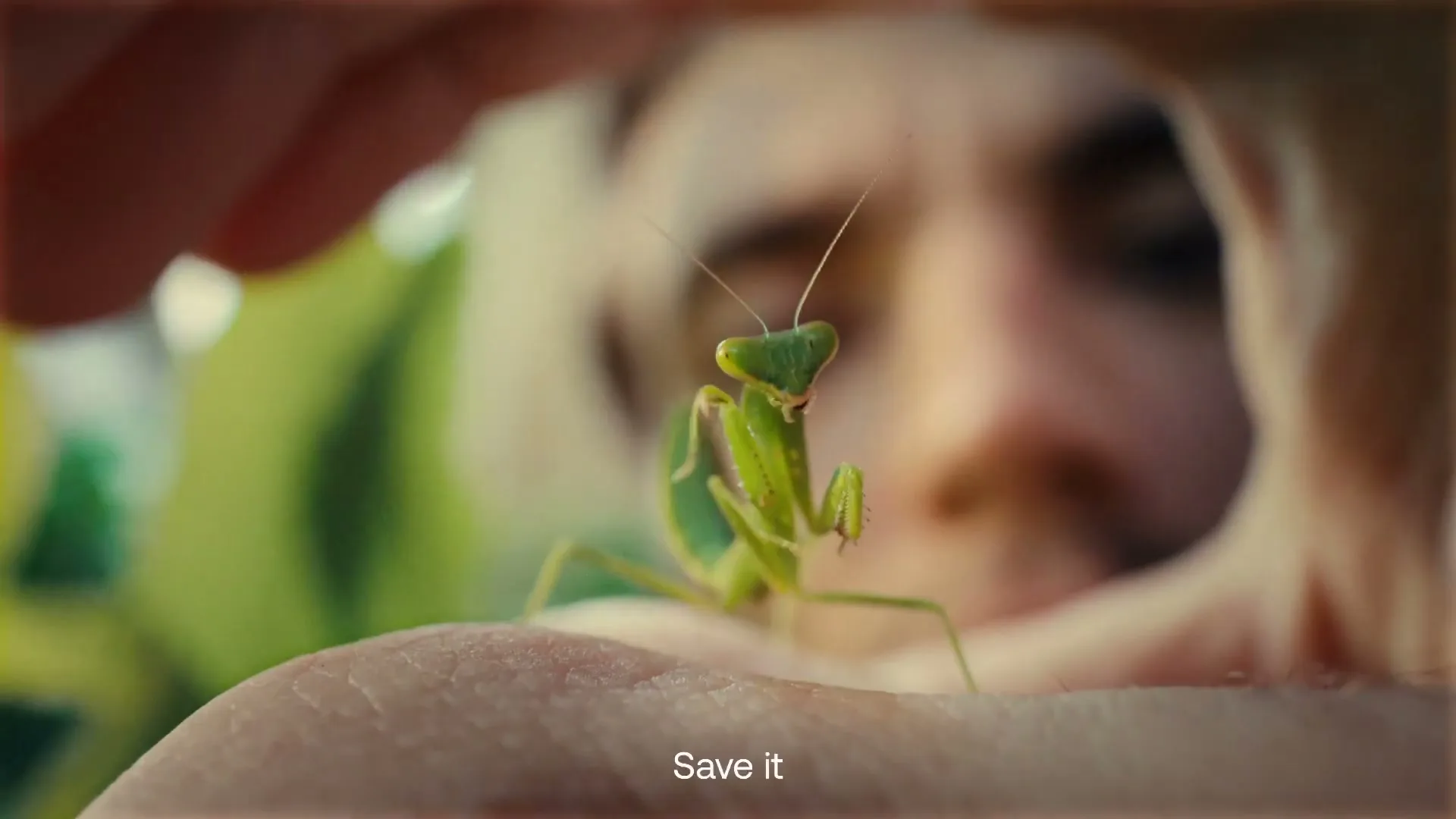 A praying mantis stands on a person's hand, with the person's face blurred in the background, in a close-up shot.