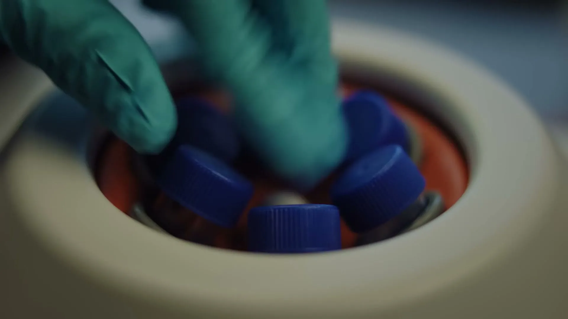 A person wearing teal gloves places small vials with blue caps into a centrifuge in a laboratory setting.