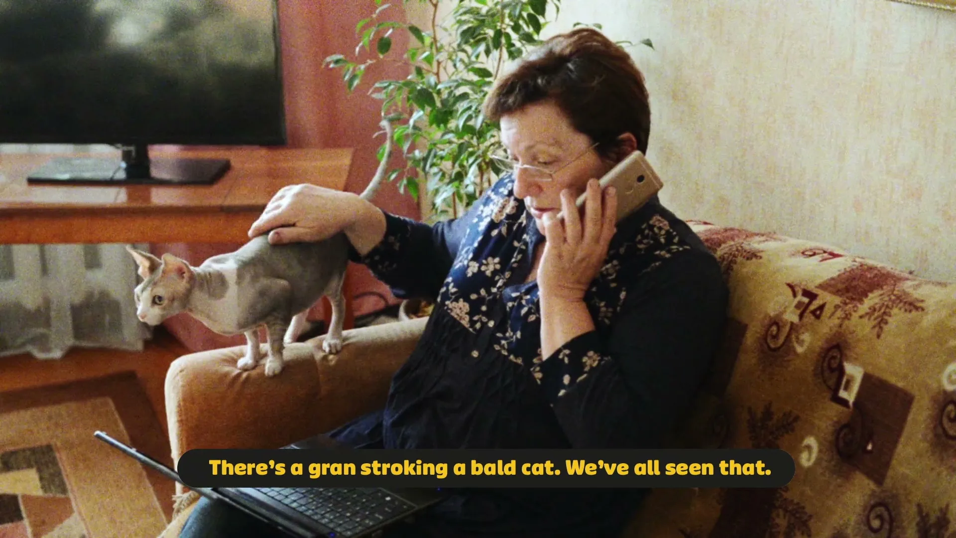 A woman in her 60s, wearing glasses and a dark blue dress, sits on a patterned couch, talking on a phone and stroking a hairless cat.
