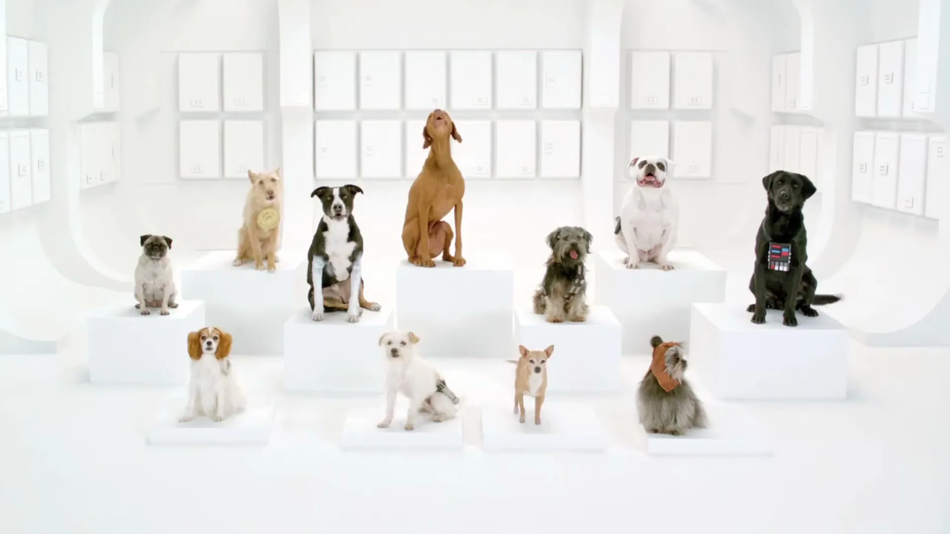 Volkswagen "The Bark Side" (2011) commercial still