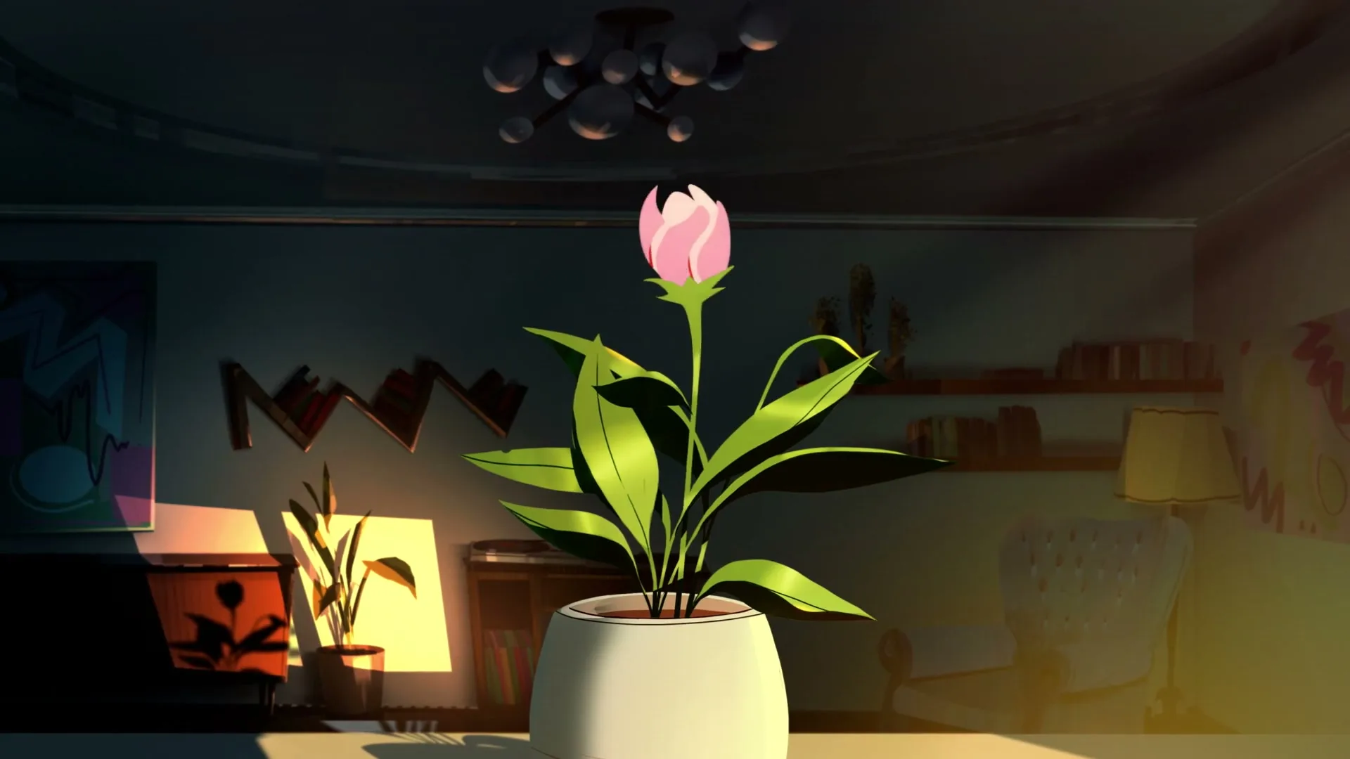 A pink flower bud in a white pot blooms into a full flower in a dimly lit living room with sunlight streaming in.