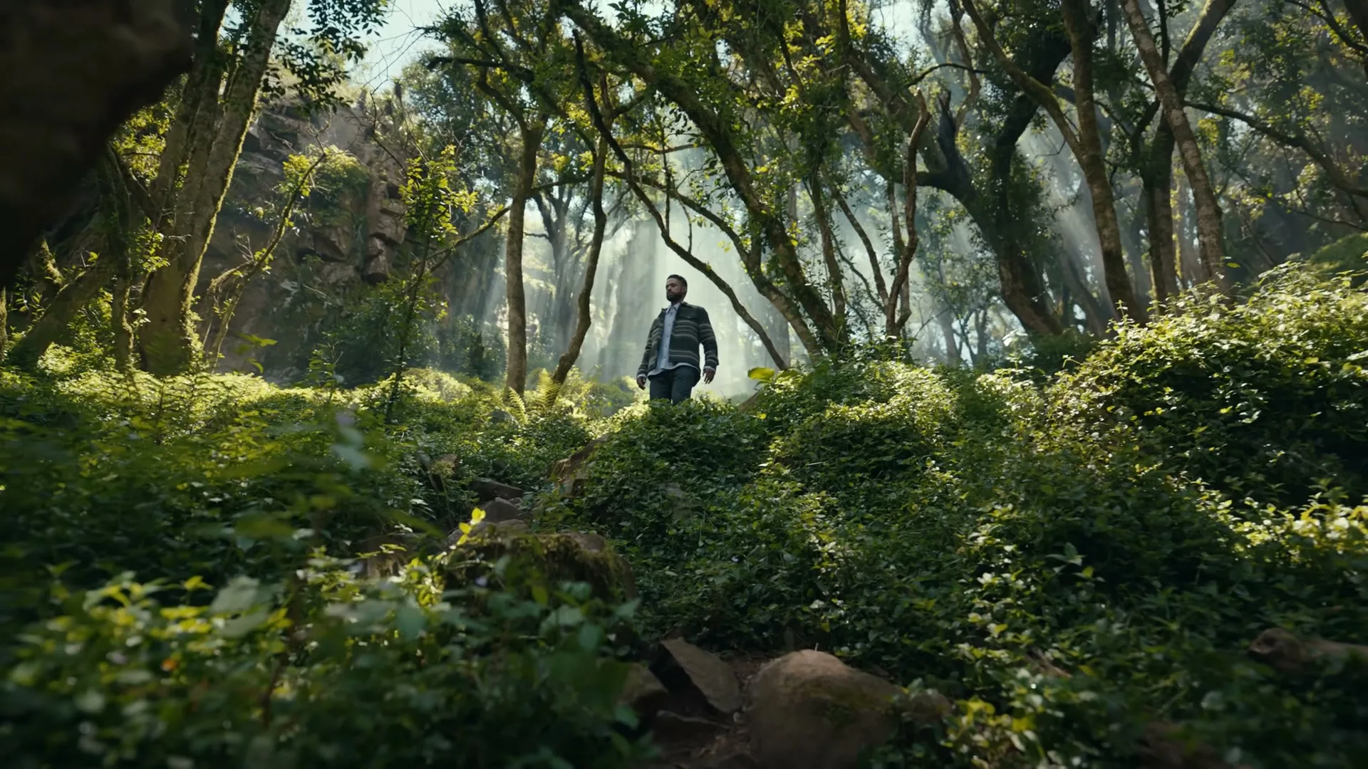 A man with a beard stands on a path in a lush, green forest, looking contemplative as sunlight streams through the trees.