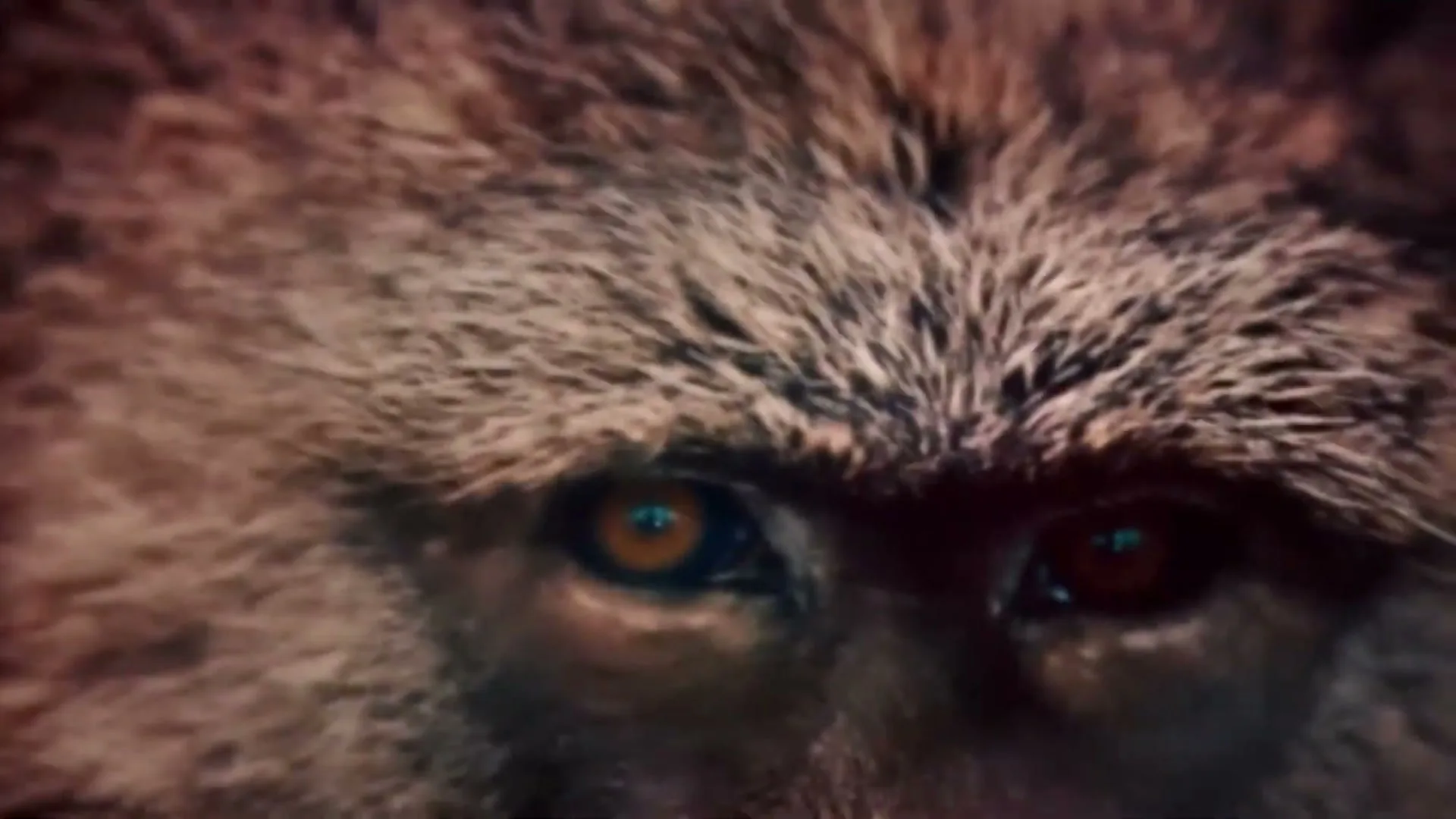 A close-up shot of a wild animal's face, possibly a wolf or bear, with intense, glowing eyes, in a dark, mysterious setting.
