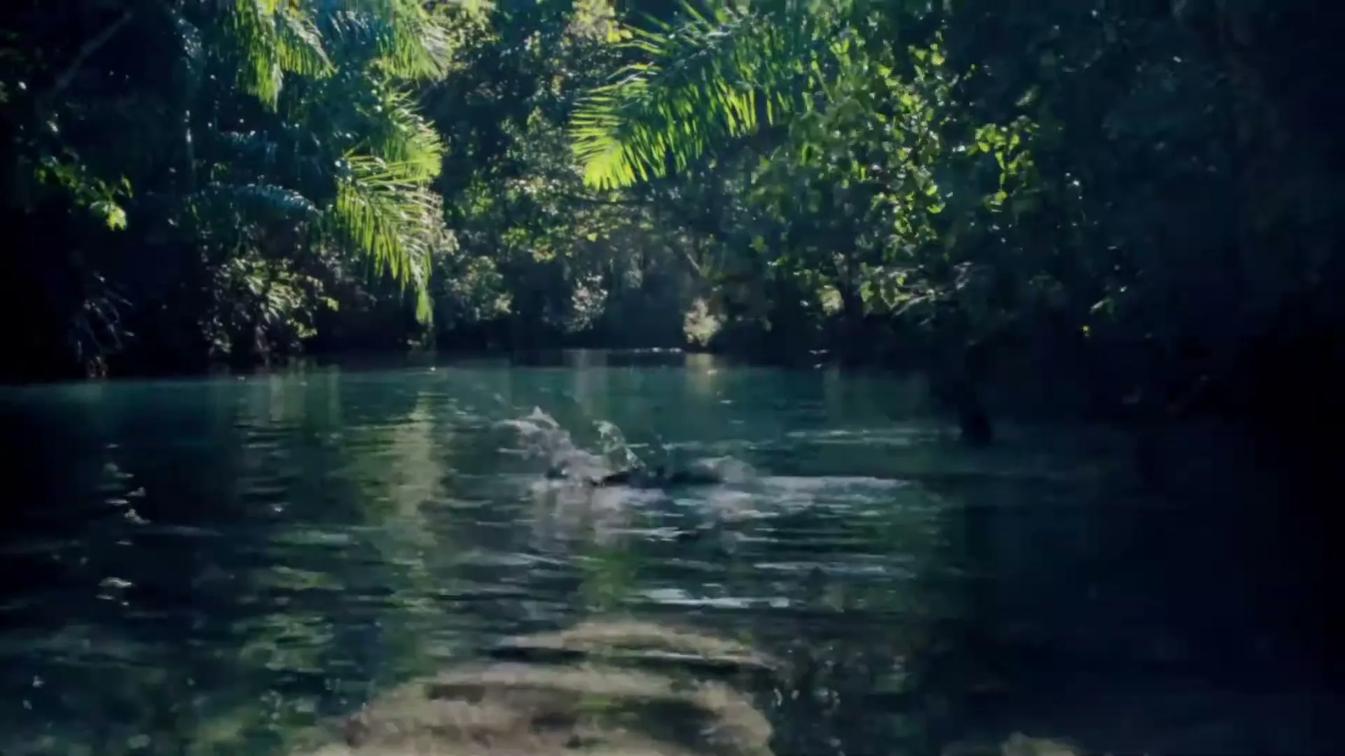 A fish jumps out of a clear blue river surrounded by lush green jungle foliage in bright sunlight.
