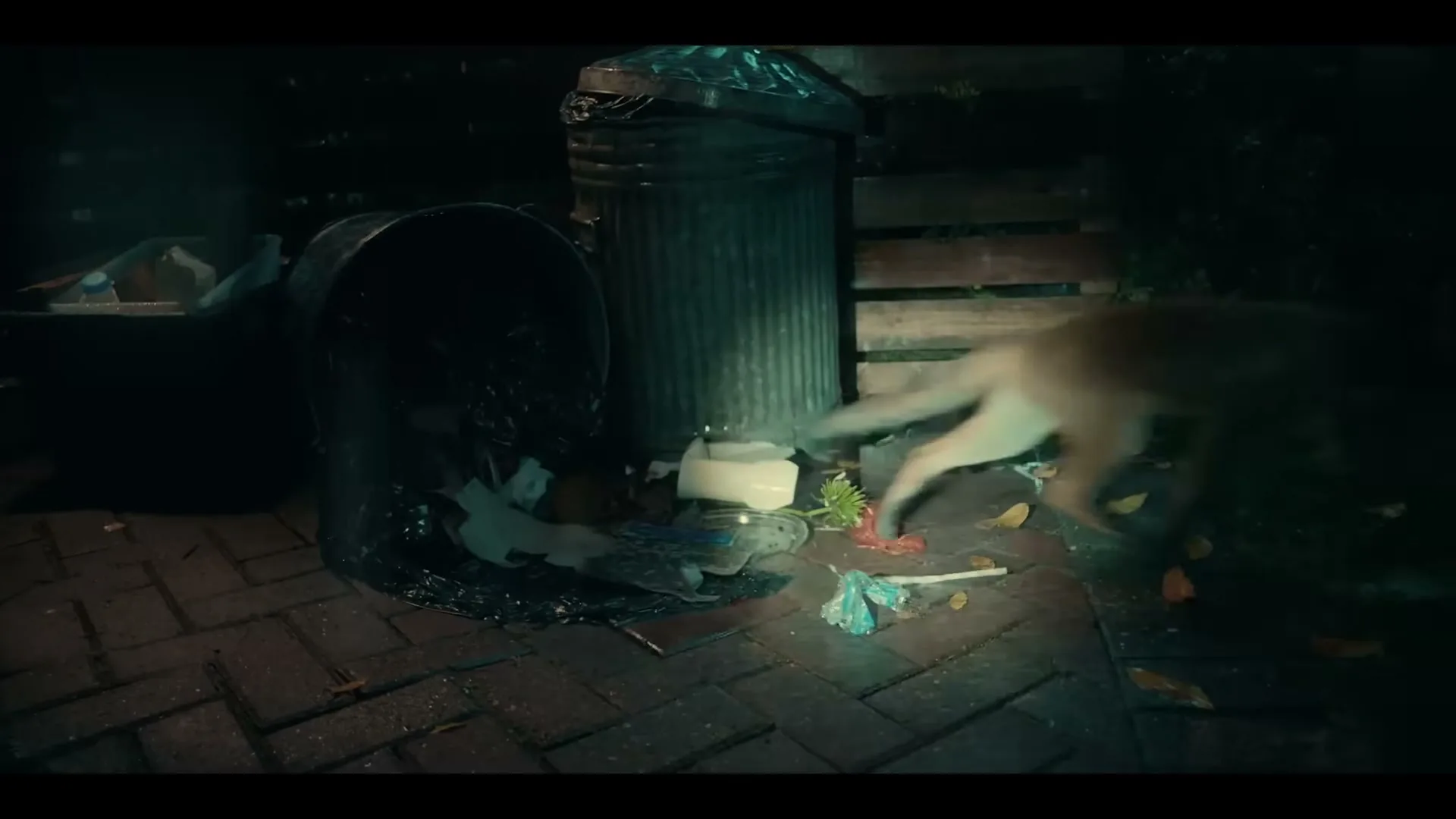 A fox rummages through an overturned trash can on a brick patio at night, illuminated by a single light source.