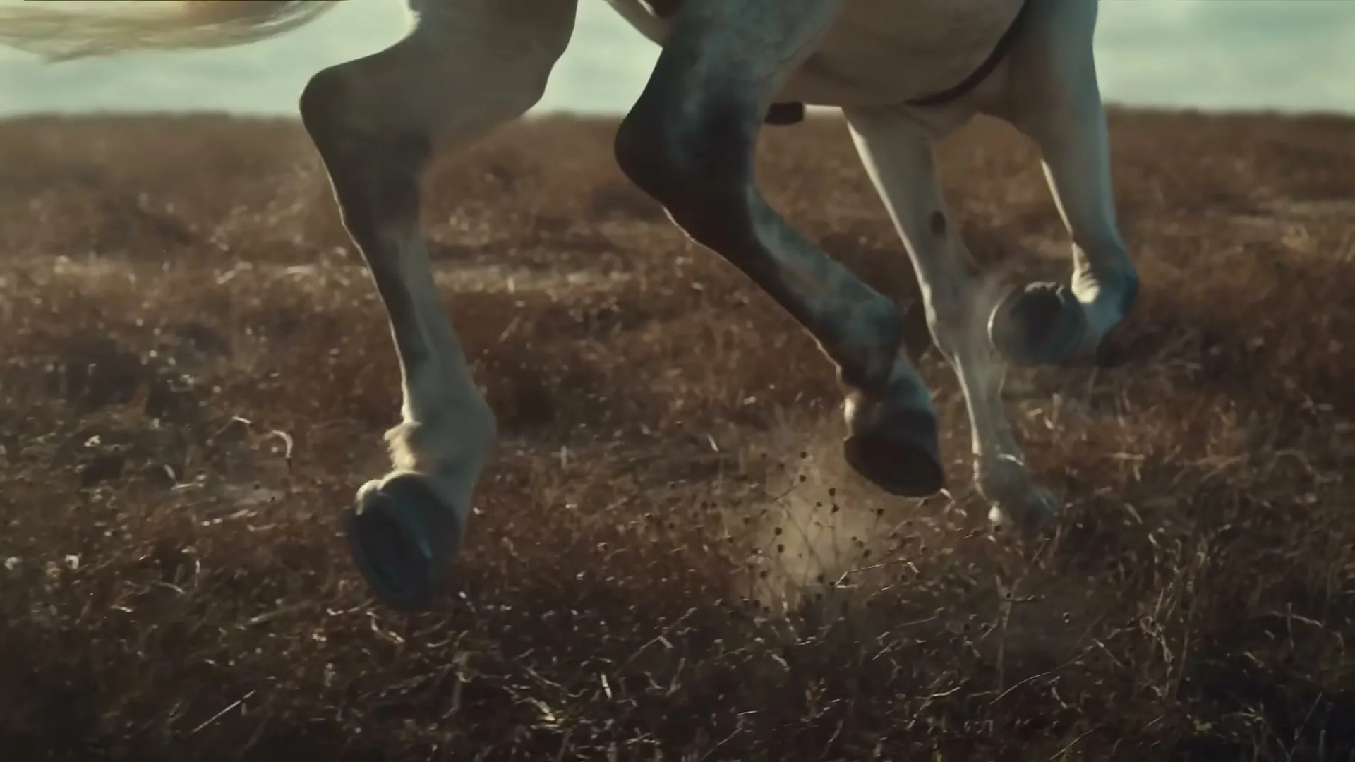 A white horse's legs gallop across a dry, grassy field, kicking up dust under a bright sky.