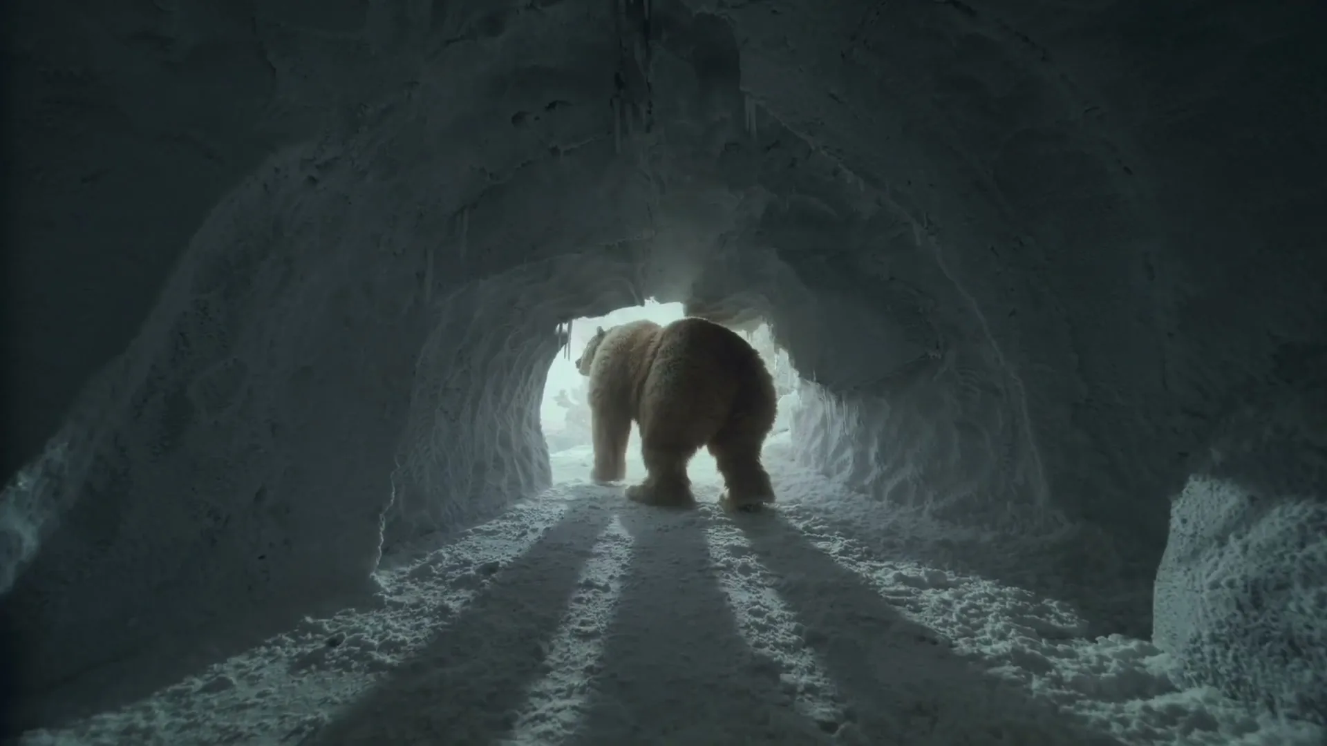 A polar bear walks away from the camera through a snowy ice cave, with light visible at the end of the tunnel.