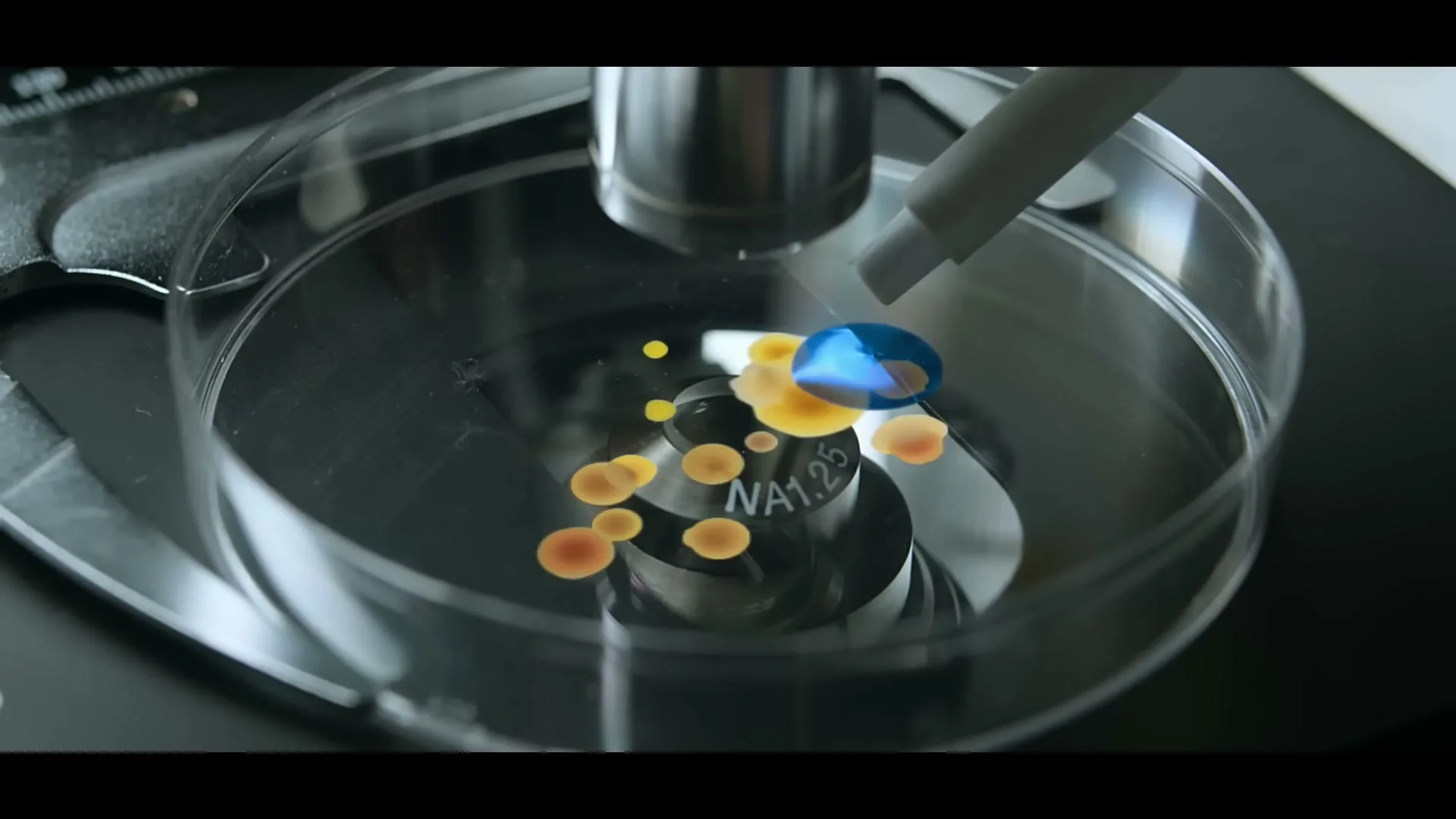 Stand Up To Cancer "It's Payback Time" (2015) commercial still