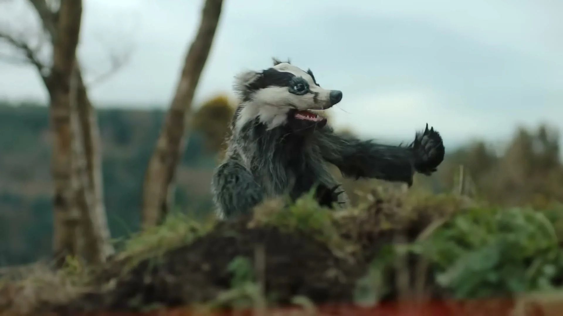 A badger puppet with black and white fur and sharp teeth emerges from a mound of dirt, looking distressed in a natural outdoor setting.