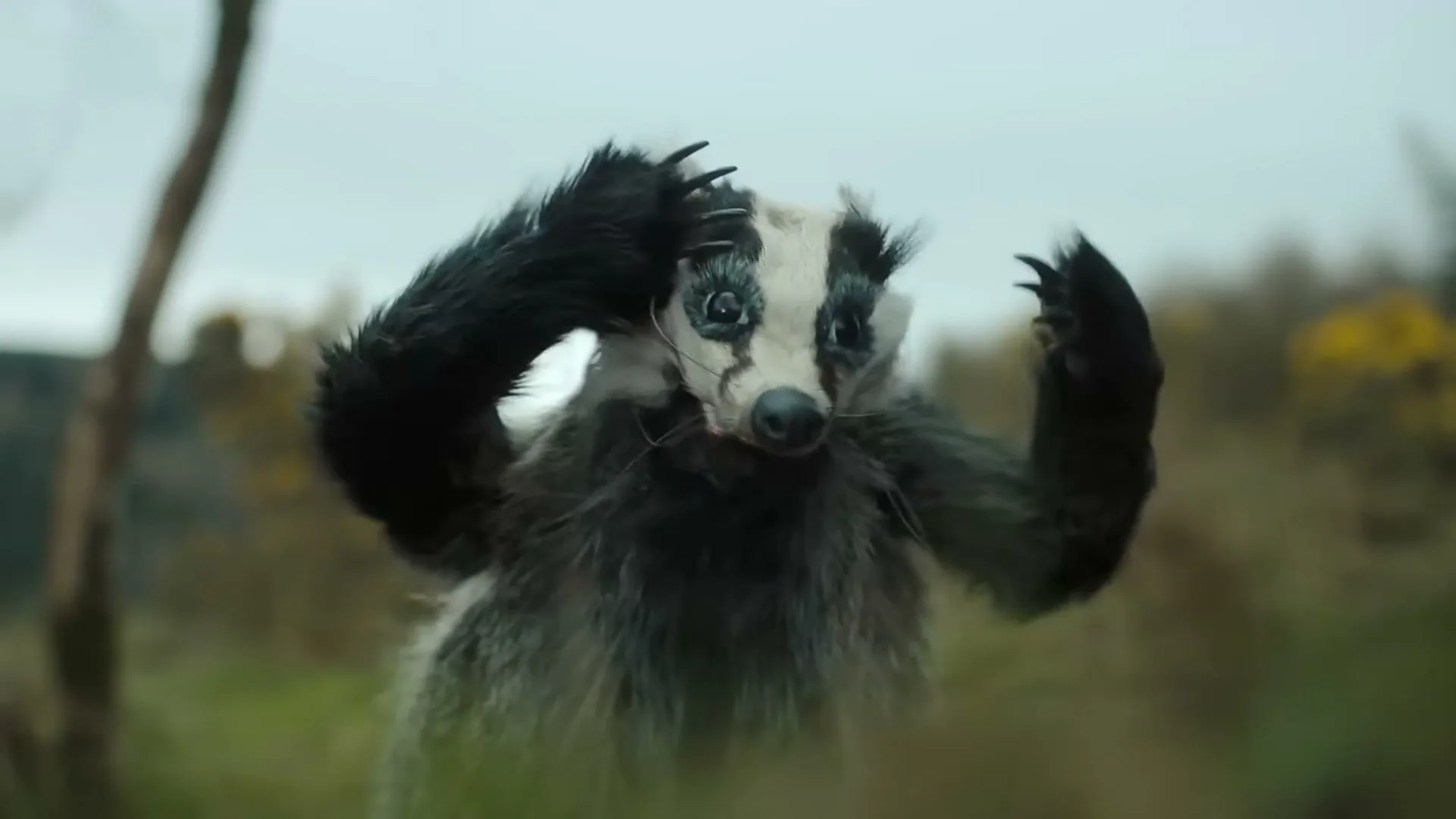 A badger puppet with black and white fur and sharp teeth looks around nervously in a field with green and yellow bushes under a cloudy sky.