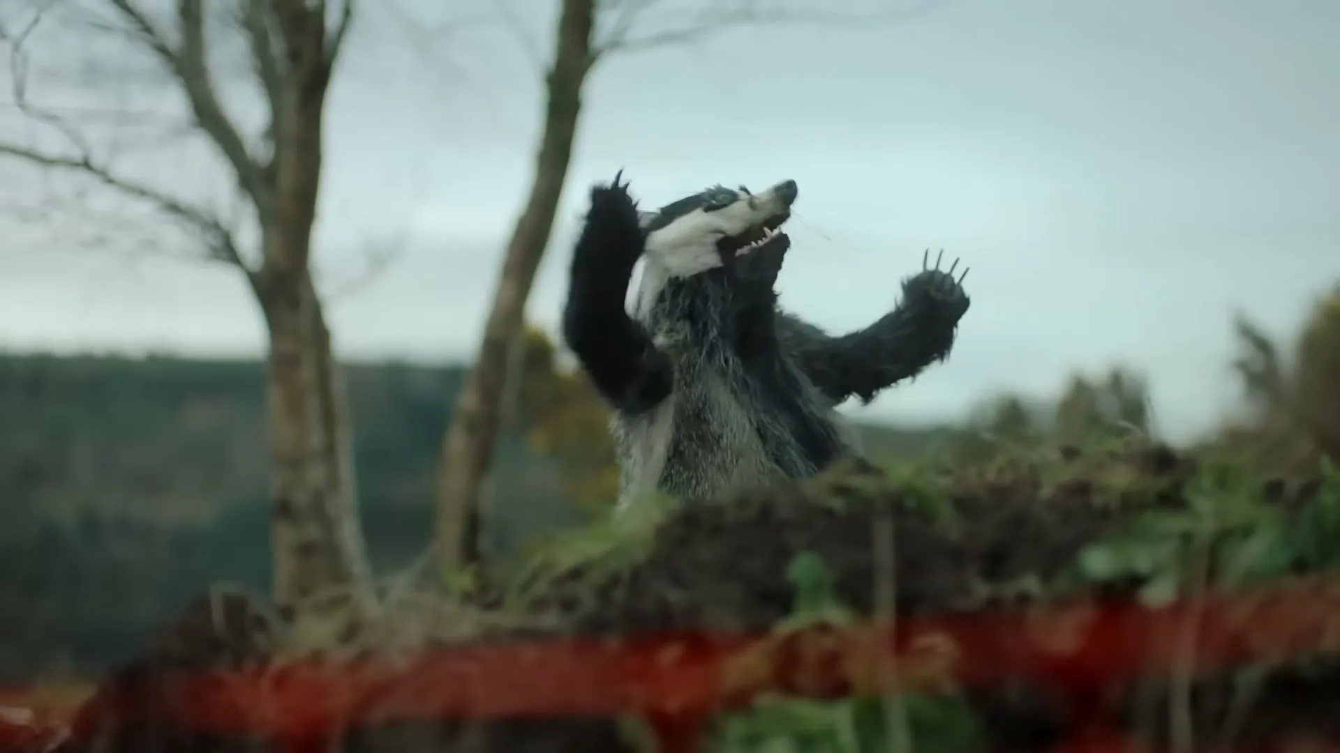 A badger puppet emerges from a mound of dirt, looking distressed and throwing its paws up in the air, in a rural outdoor setting.
