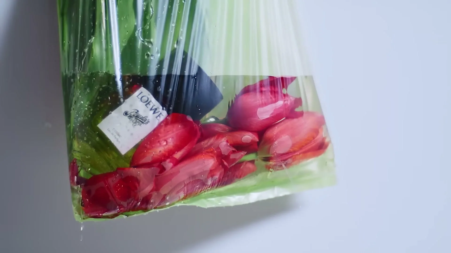 A plastic bag filled with water, green vegetables, red strawberries, and a bottle with a "LOEWE" label, hangs against a white background.