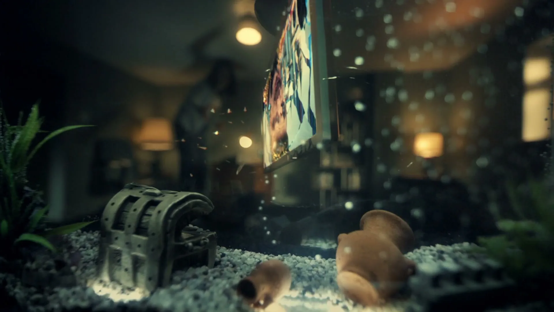A man in the background throws a remote at a TV, cracking the glass of a fish tank in the foreground.