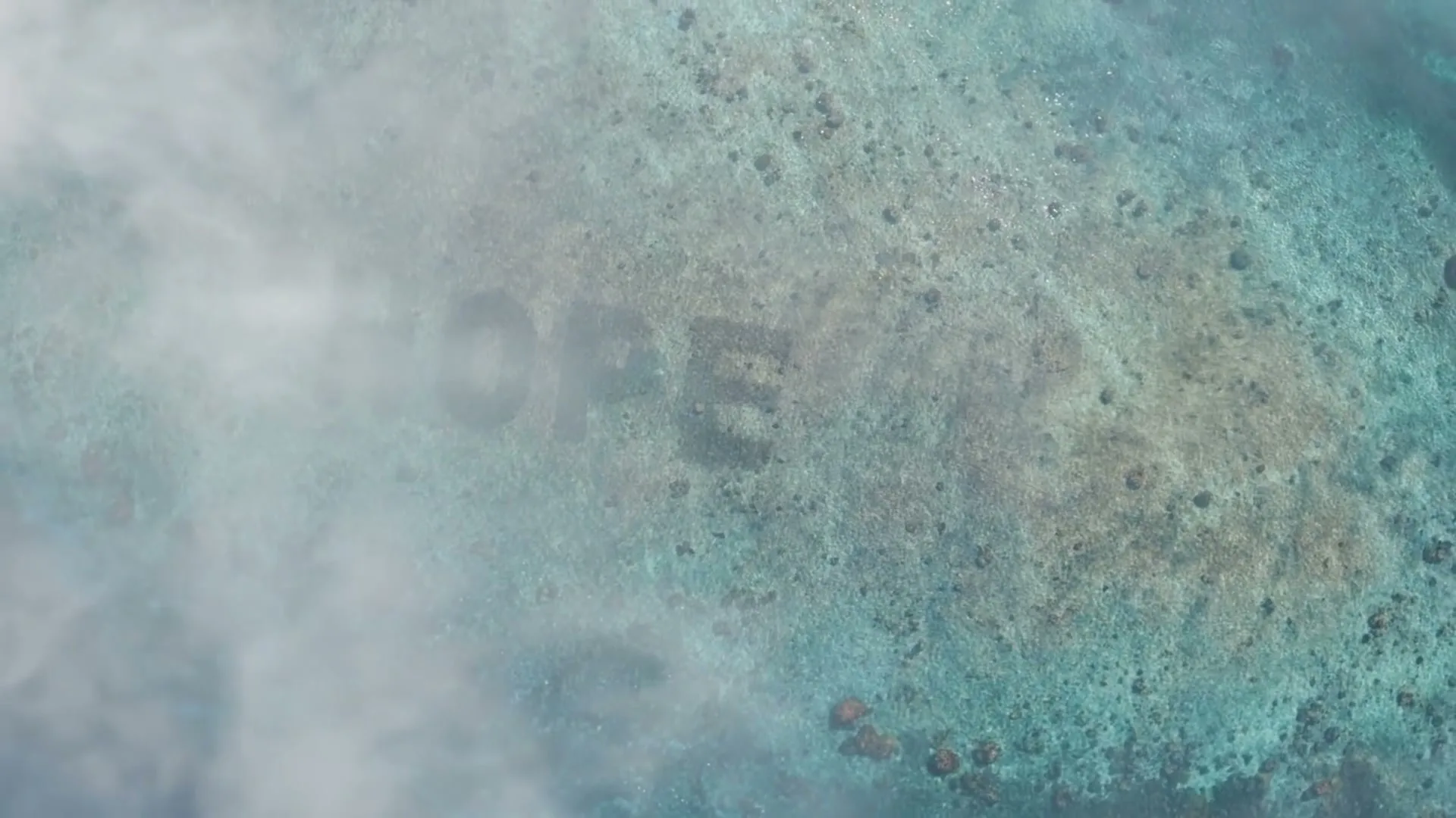 Sheba “Hope Grows - The Wonder of Coral”