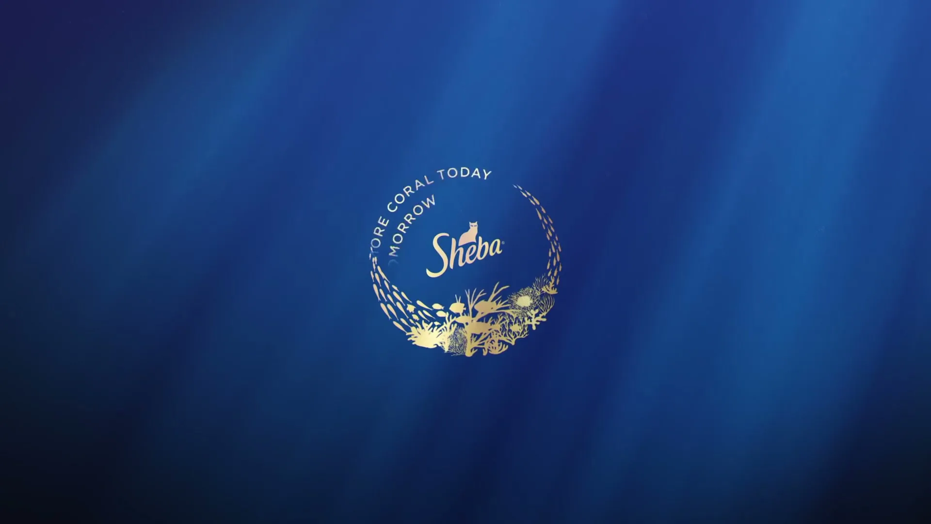 An aerial shot of a coral reef with the word "HOPE" visible, then transitions to a Sheba logo and text on a blue background with light rays.