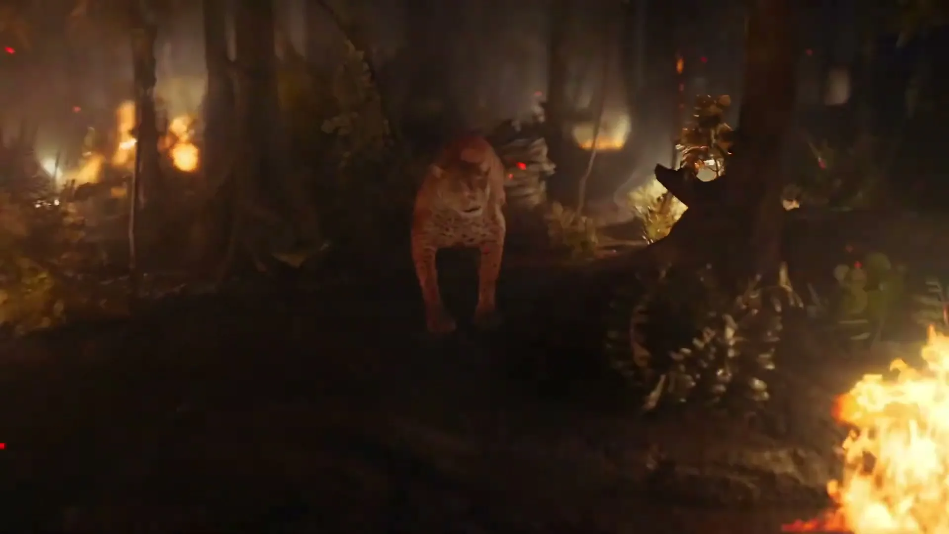 Wwf “Adopt A Better Future” (2020), frame 4