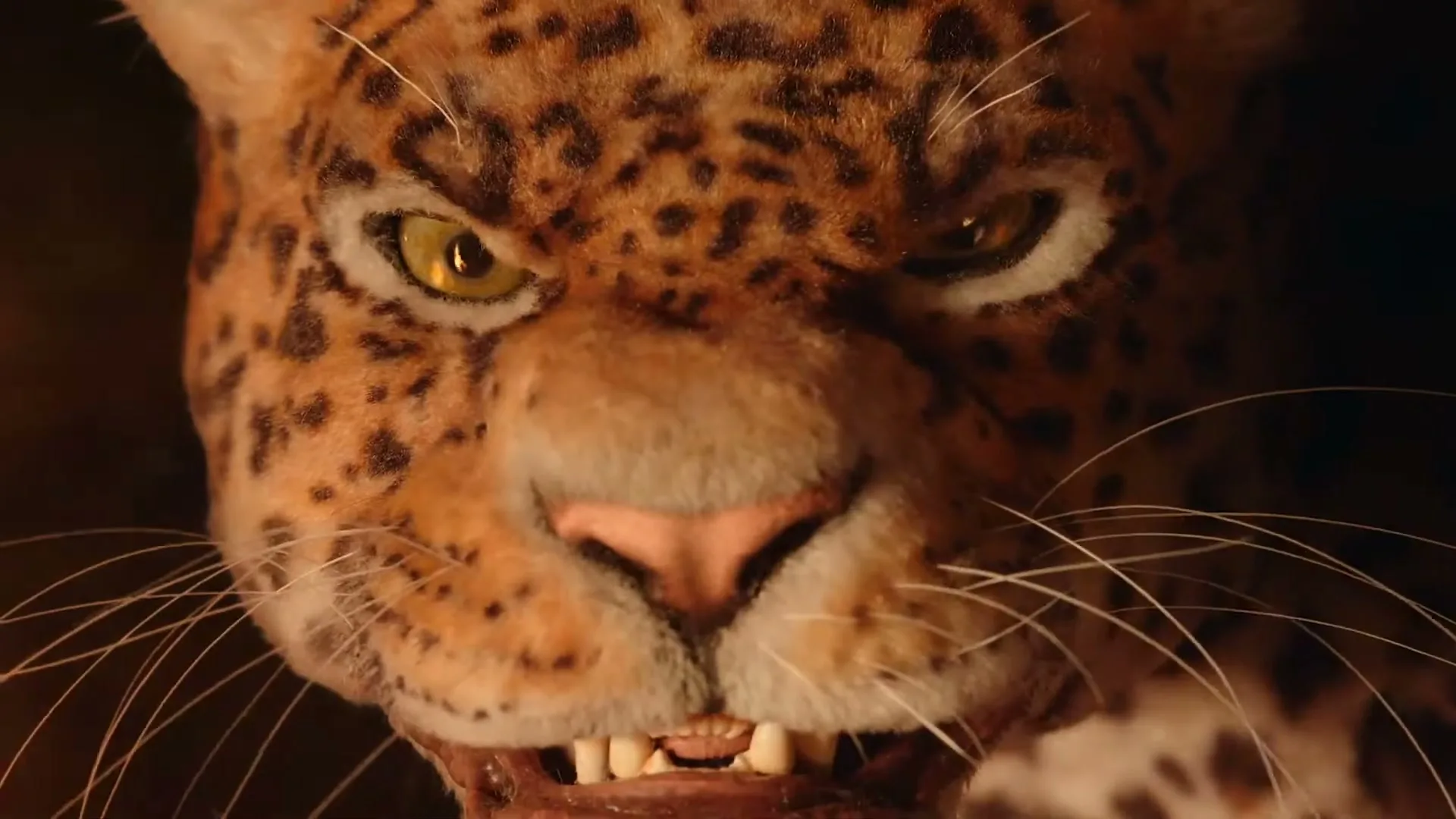 Wwf “Adopt A Better Future” (2020), frame 5