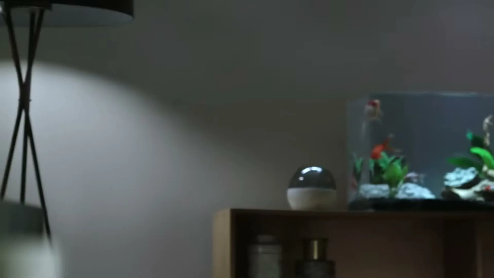 A camera pans right across a living room, revealing a soundbar, a lamp, and a fish tank with goldfish swimming inside.