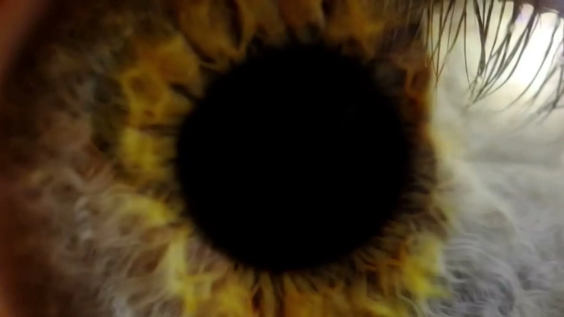 A macro shot of a human eye with a brown and green iris and a black pupil, with eyelashes visible on the right side.
