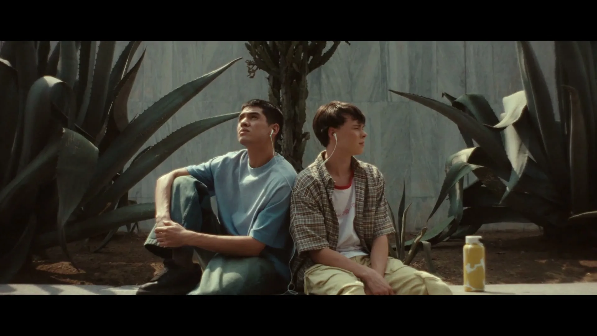 Two young men, one in a blue shirt and the other in a plaid shirt, sit back-to-back on a ledge, listening to music with earphones, surrounded by large agave plants outdoors.
