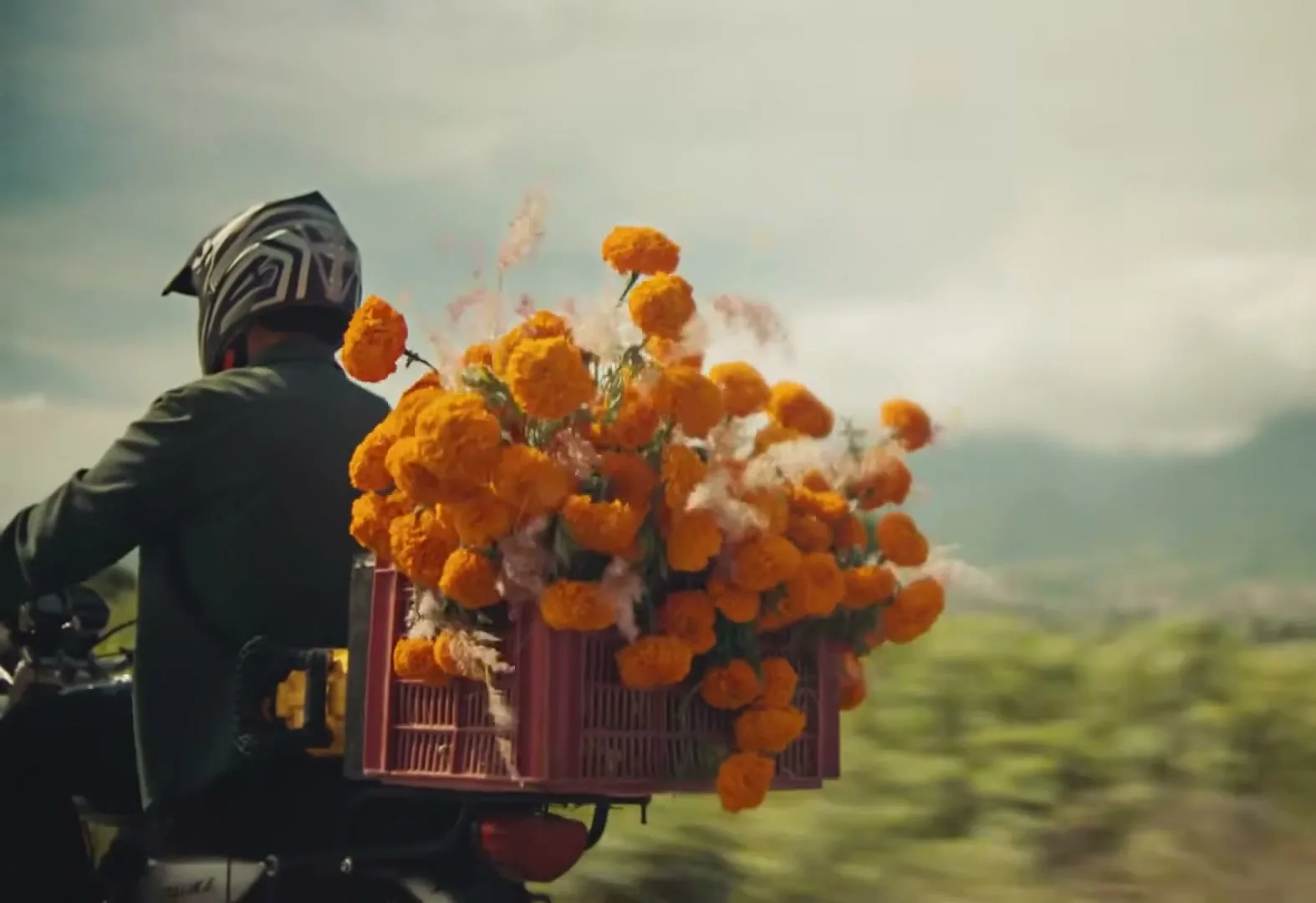 A person on a motorcycle drives away from the camera, carrying a crate of orange flowers that are blowing in the wind, on a rural road.