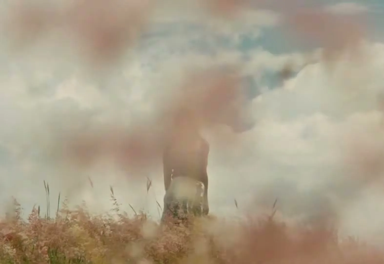 A woman with long dark hair, wearing a red top and light skirt, stands in a field of tall pink grass under a cloudy sky.