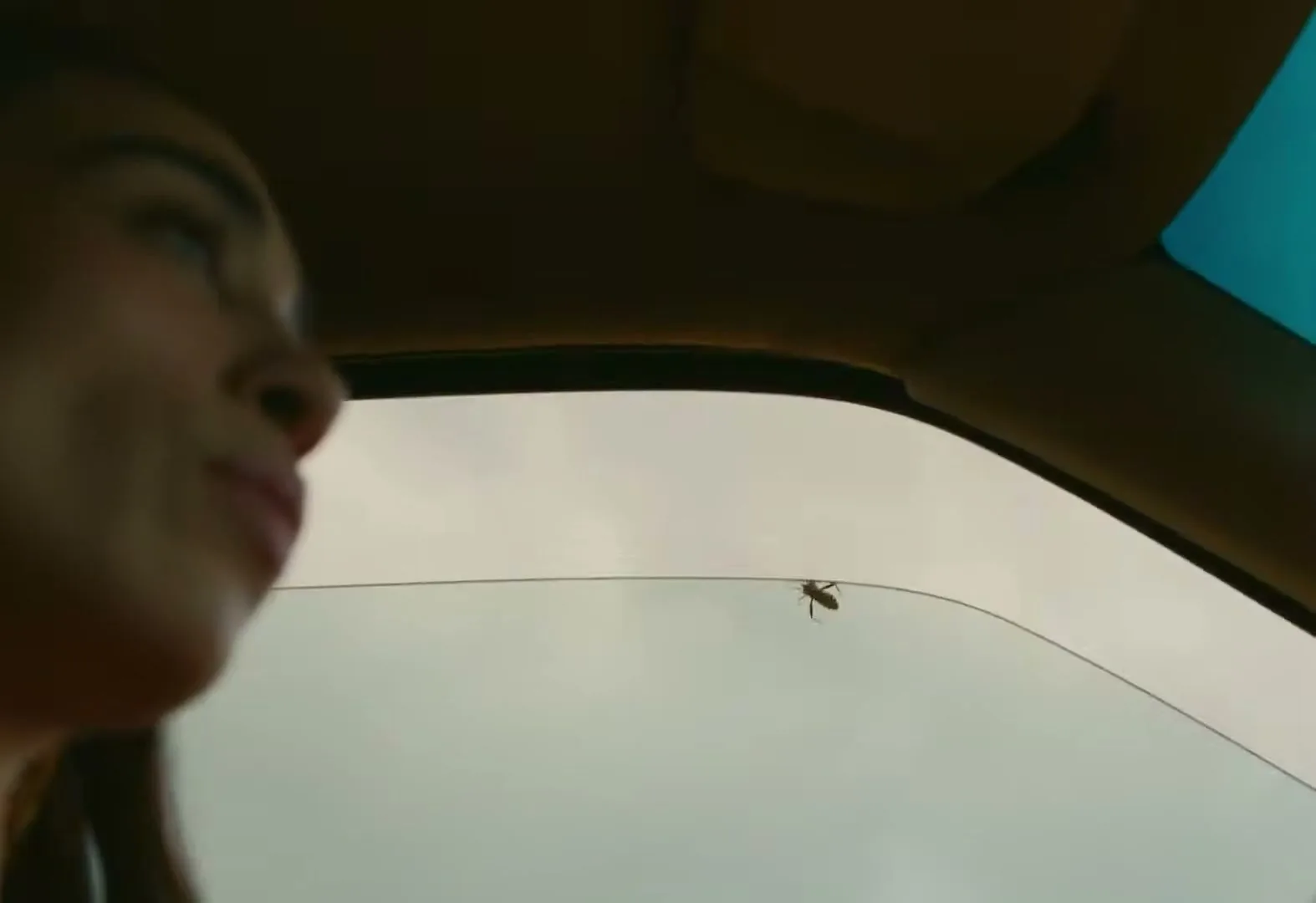 A young woman with dark hair and a red top is seen in profile, looking out the window of a car at a bug on the glass.