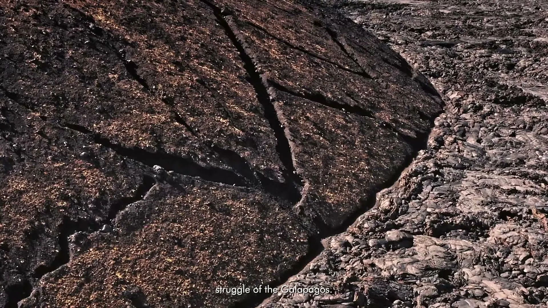 An extreme wide shot shows a close-up of dark, textured volcanic rock with some reddish-brown patches, suggesting a harsh, natural environment.