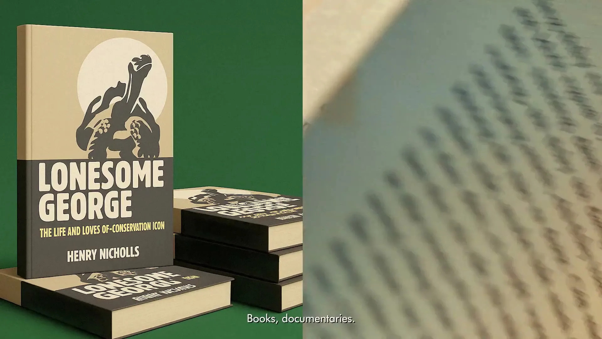 A book titled "Lonesome George" with a turtle illustration is displayed on a green background, next to a stack of similar books.