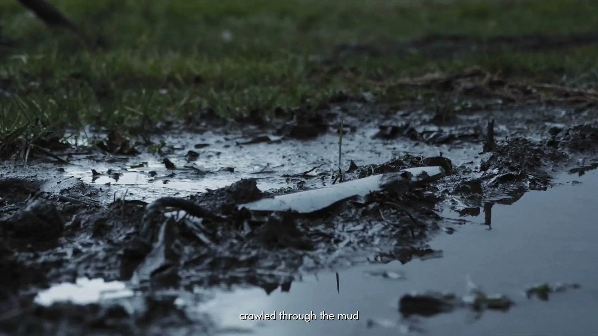 A close-up shot of a muddy puddle with grass in the background, as a white object lies in the mud.